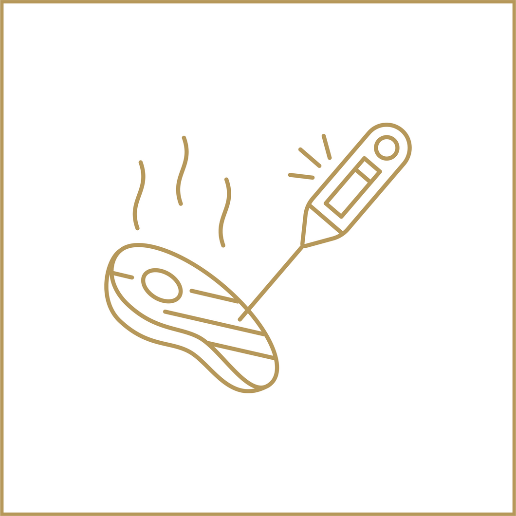 Add a Probe Thermometer